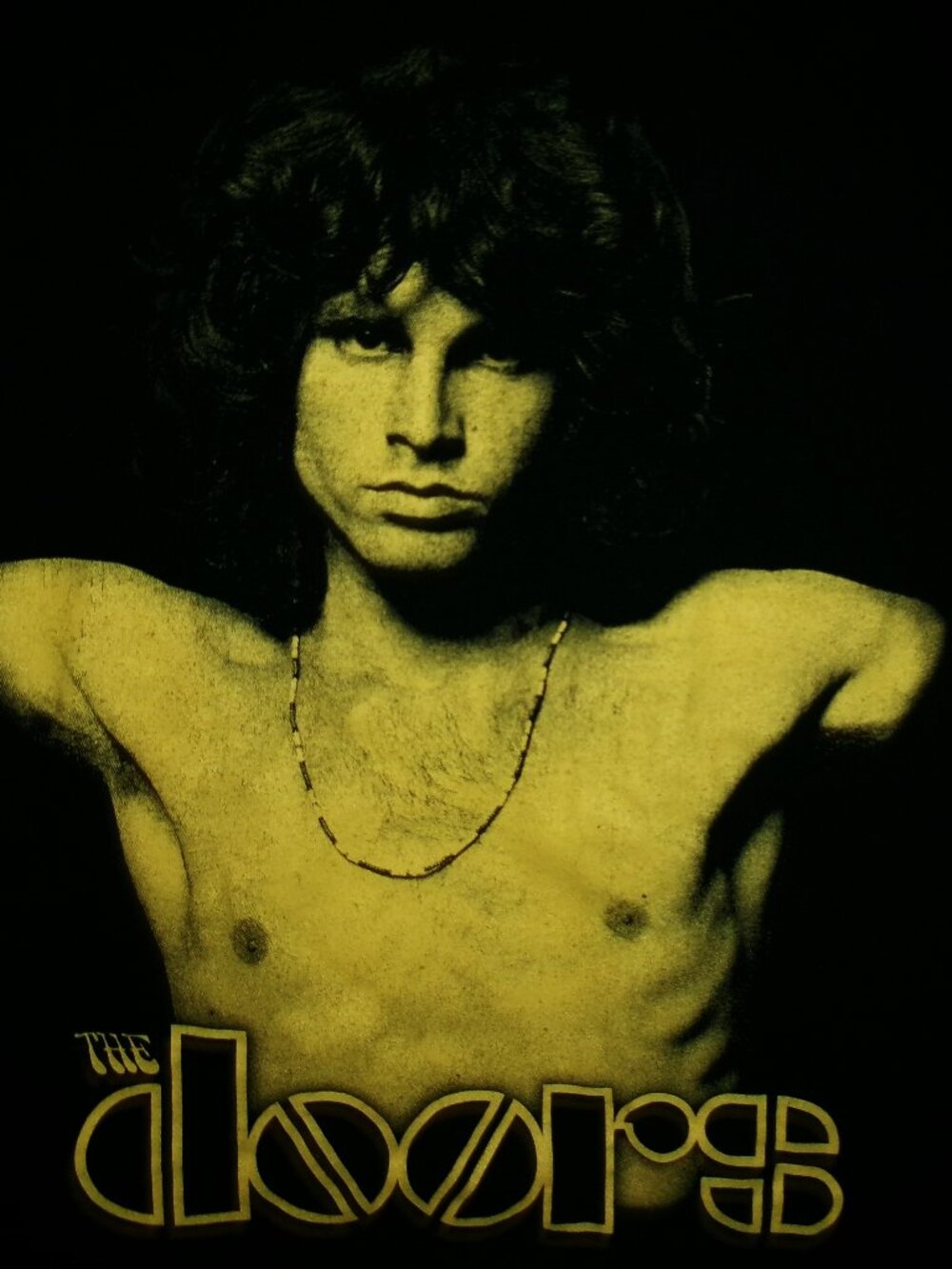 jim morrison doors arms streched s m -woman tee - lizard king rock blues the end